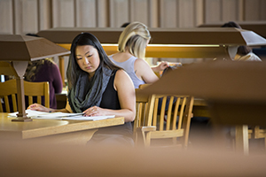 students study at tables in the library